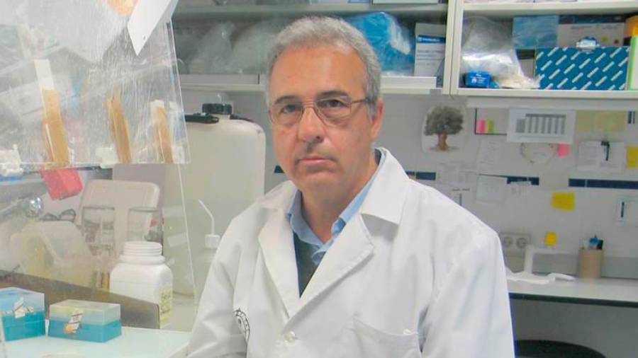 <i>El investigador de la UJA Francisco Luque. / Universidad de Jaén.</i>