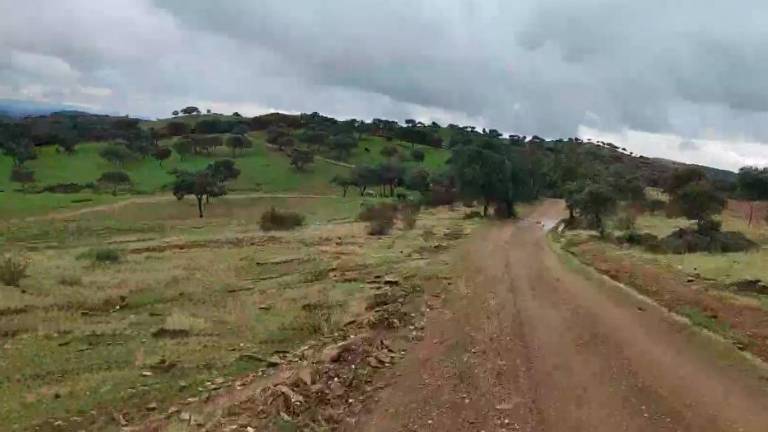¡Qué verde es ahora la dehesa de Sierra Morena!