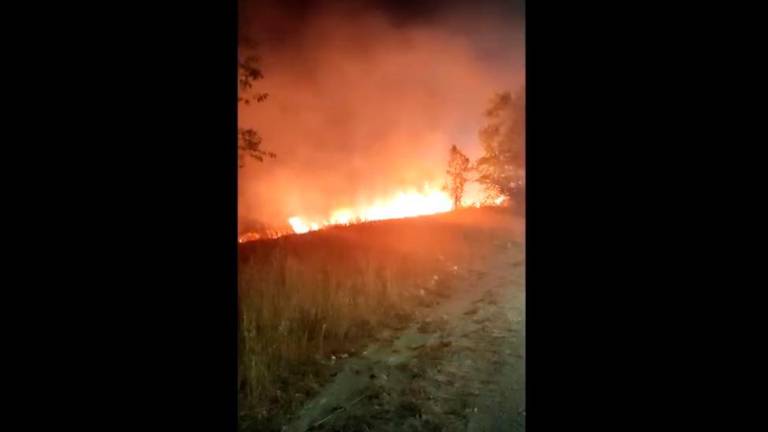 Incendio de pastos en el Polígono del Valle