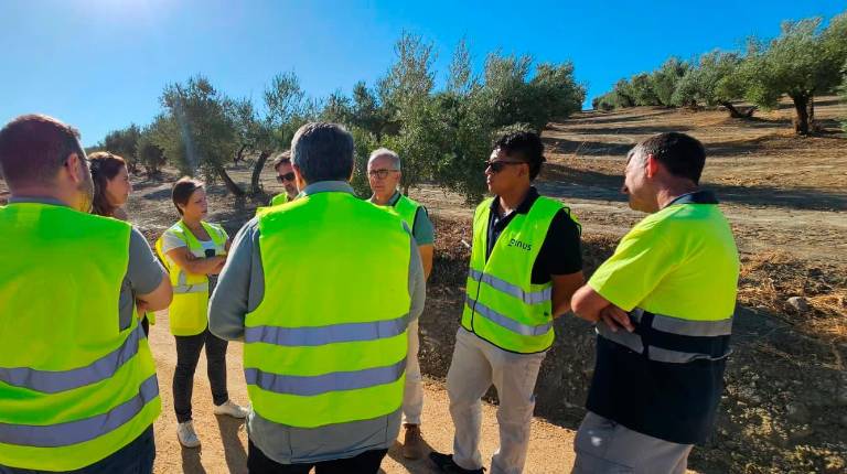 <i>Visita de Soledad Aranda a las obras de emergencia de los caminos rurales de Marmolejo. / Junta de Andalucía. </i>