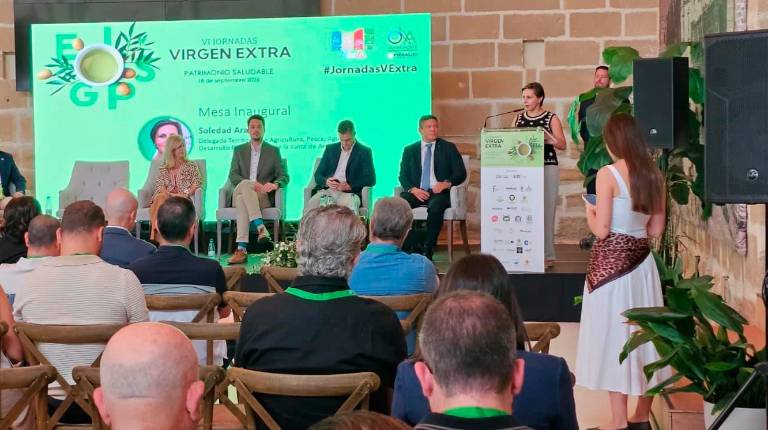 <i>Soledad Aranda durante la inauguración de las sextas Jornadas “Virgen Extra. Patrimonio Saludable”. / Junta de Andalucía. </i>