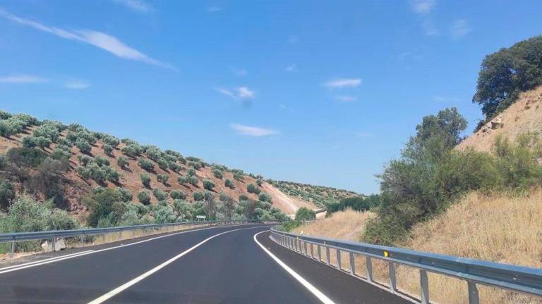 PSOE y JM+ llevarán al pleno la demanda para convertir en autovía la A-306