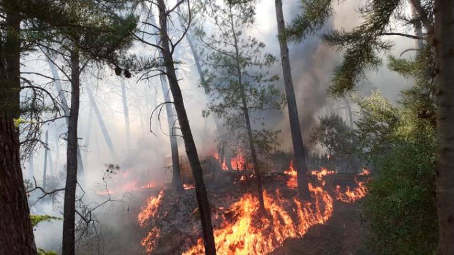 Estabilizado el incendio en Segura de la Sierra próximo al camping El Robledo