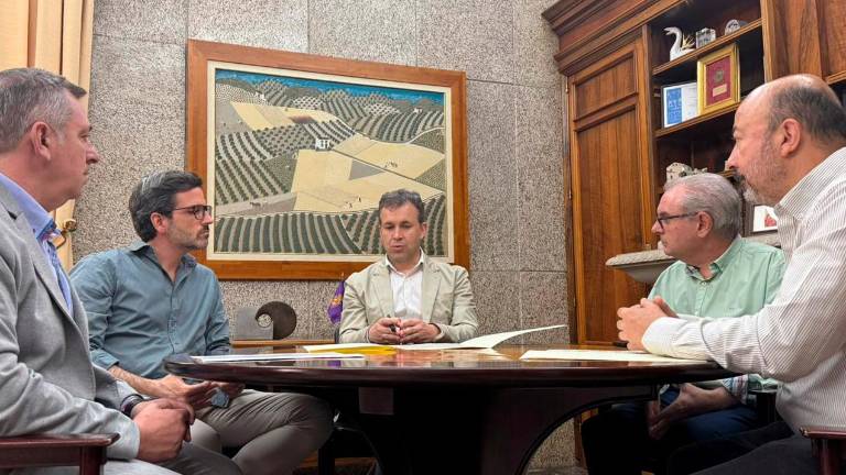 Alianza en defensa del patrimonio cultural y urbano de Jaén