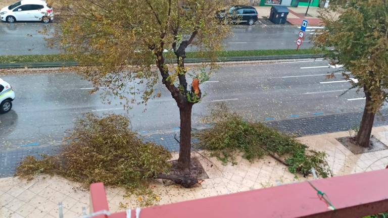 Las rachas de viento provocan una treintena de incidencias en la capital