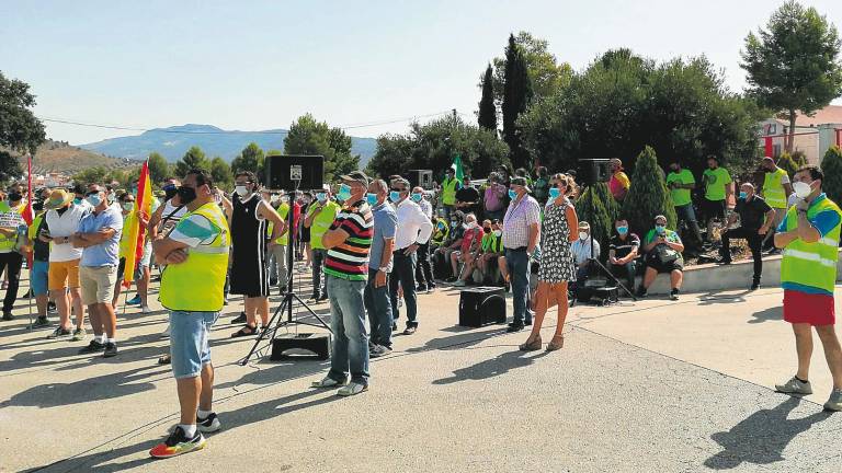 En defensa de la aceituna