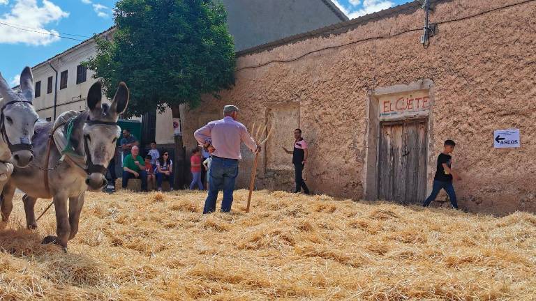 Feria de la Trashumancia (IV): Volver a los tiempos de la trilla