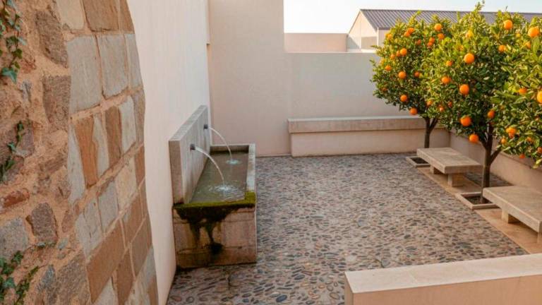 Los cármenes de la calle Vicario: Diseño de jardín urbano en el casco antiguo de Jaén