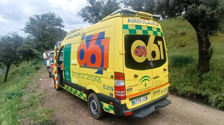 <i>Una ambulancia, instantes antes de evacuar a una mujer en Lugar Nuevo. / F. Gaitán.</i>