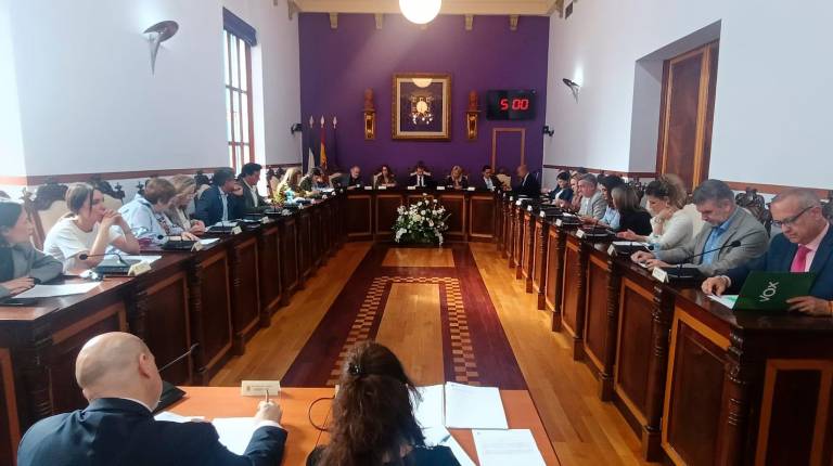 <i>Vista general del salón de plenos del Ayuntamiento de Jaén durante la sesión extraordinaria y urgente de esta mañana. / F. Gaitán / Diario JAÉN</i>