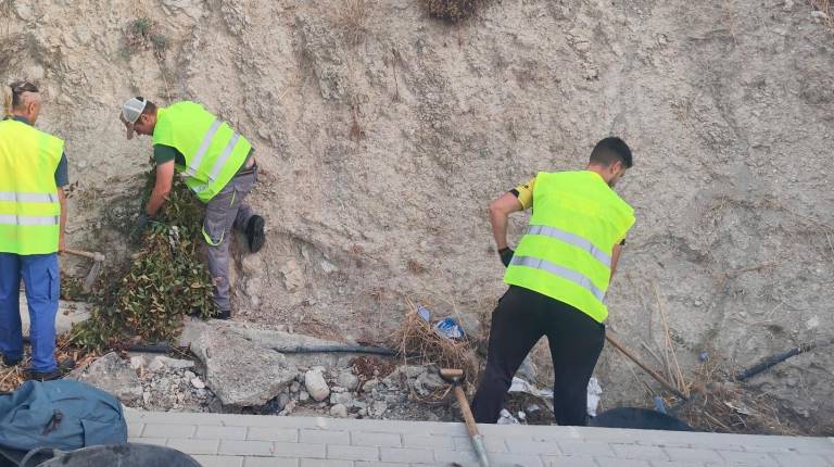 <i>Tareas de limpieza en arcenes de Jaén. / Ayuntamiento de Jaén. </i>
