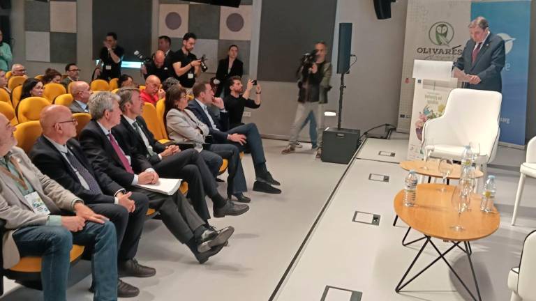 El ministro de Agricultura, Pesca y Alimentación, Luis Planas, durante su intervención en el Congreso Internacional sobre Agricultura y Biodiversidad. / F. Gaitán / Diario JAÉN