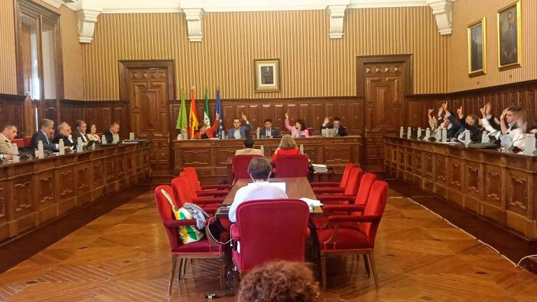 El salón de plenos de la Diputación Provincial, durante la sesión ordinaria de marzo. / F. Gaitán / Diario JAÉN.