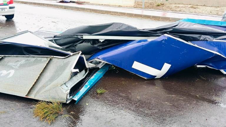 Alerta: El viento tira un árbol en la carretera de Granada