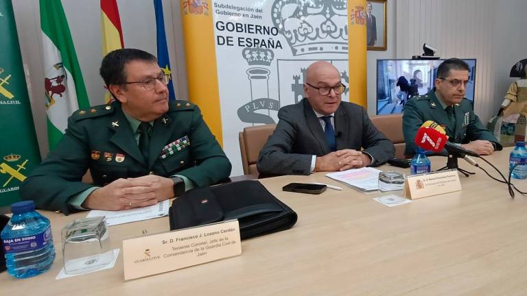 Desarticulada una organización que introducía 30 kilos de cocaína al mes en Jaén