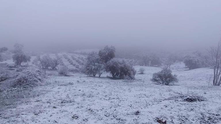 Las sierras de Jaén amanecen teñidas de blanco