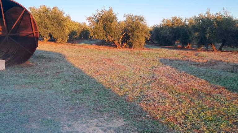 Siete municipios y enclaves de Jaén despiertan bajo cero