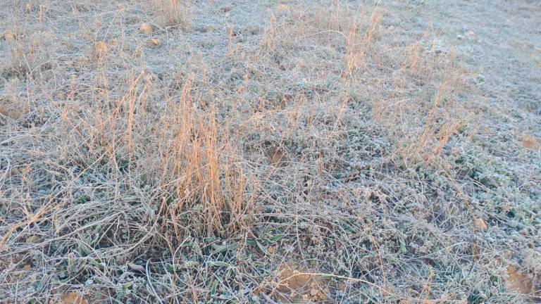 Hasta 17 municipios y enclaves de Jaén registran temperaturas bajo cero este jueves
