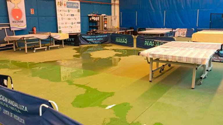 Las goteras frenan el programa “Tenis de mesa y salud” en La Salobreja