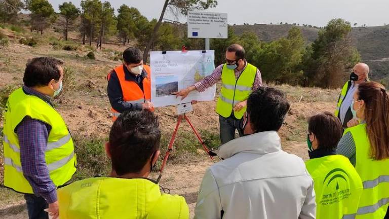 La Consejería de Agricultura restaura 184 hectáreas de la zona del incendio de Quesada y Huesa