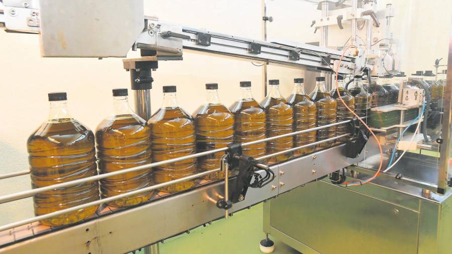 <i>Línea de envasado y etiquetado. / Agustín Muñoz / Diario JAÉN.</i>