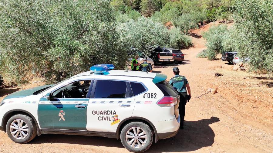 <i>Agentes de la UCO de la Guardia Civil, durante el operativo de búsqueda desarrollado en Villacarrillo durante noviembre de 2022. / José Herreros / Diario JAÉN.</i>