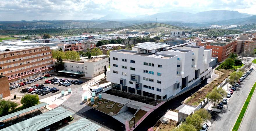 La UJA implantará tres títulos de la nueva programación académica en el curso 2026/2027