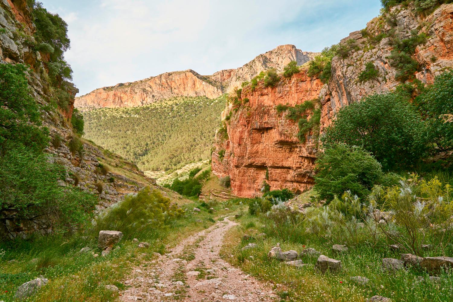El camino de Otíñar ya puede ser transitado por los jiennenses