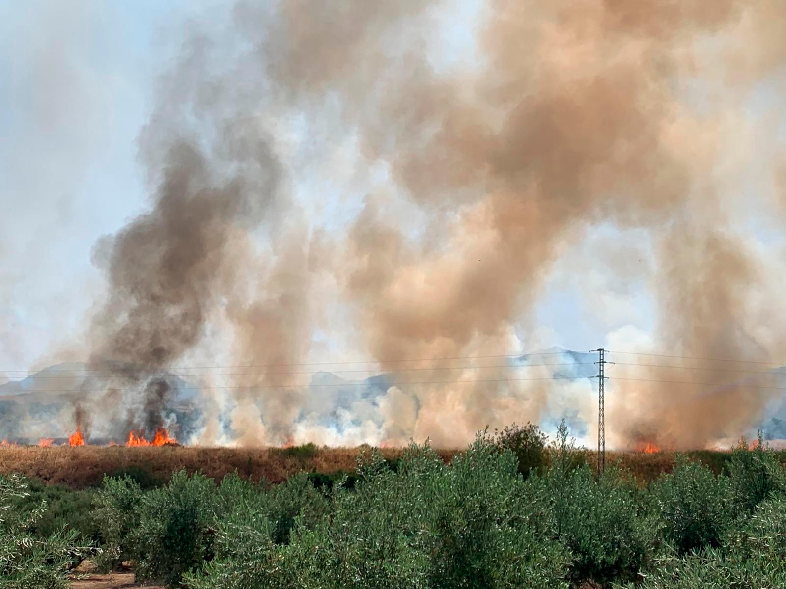 Declarado un incendio junto al Hospital Neurotraumatológico de Jaén