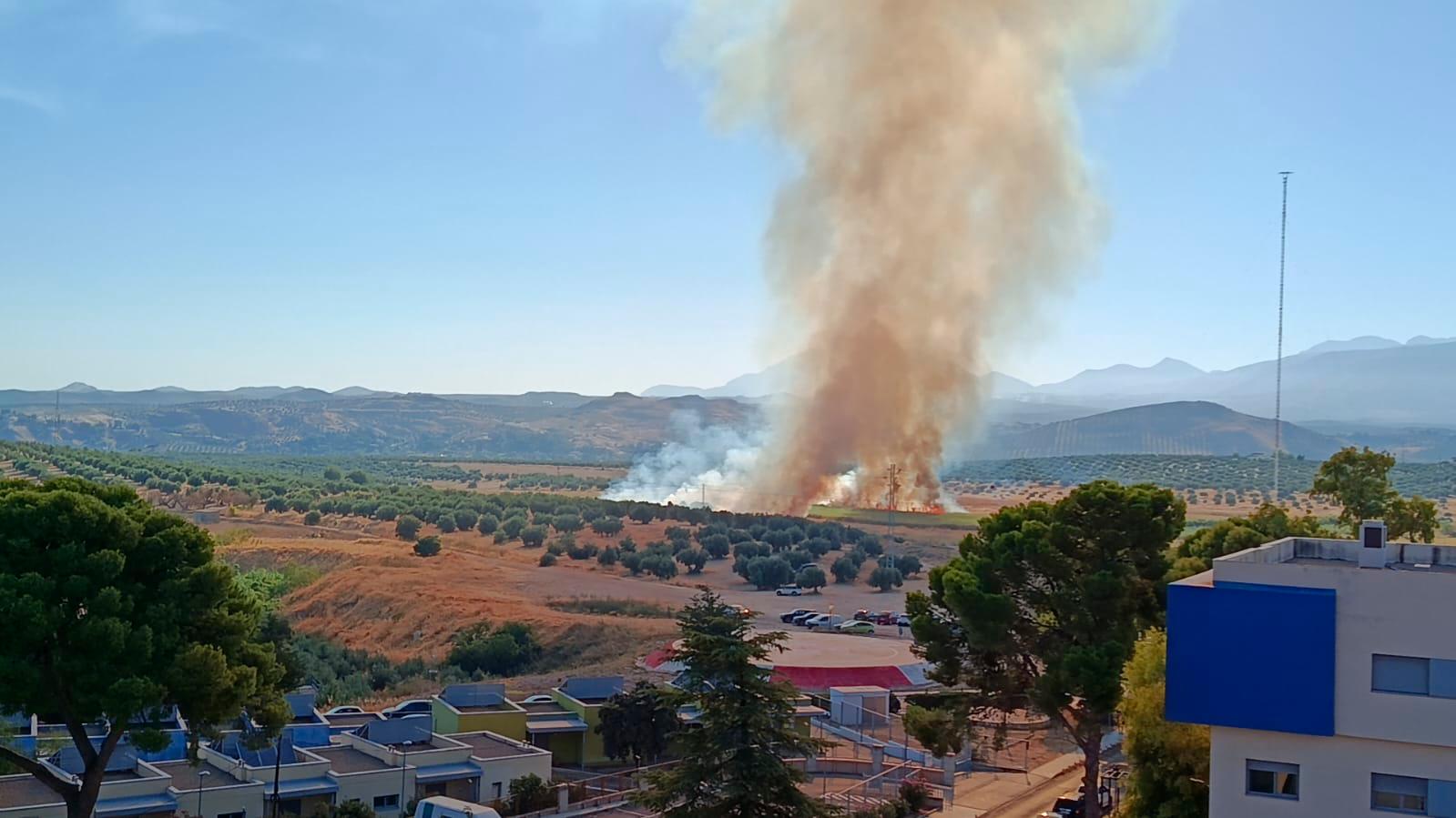 Controlado el incendio de vegetación en la zona de Las Lagunillas