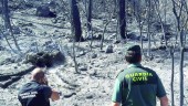 sobre el terreno. Dos guardias civiles en la “zona cero” del incendio que se declaró, el jueves 3 de agosto, en La Trujala, Segura de la Sierra. 