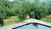 NECESIDAD. Acequia para guardar agua en un cortijo olivarero de la provincia jiennense.