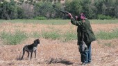 actividad cinegética. Un aficionado a la caza dispara a su presa, en compañía de su perro. 
