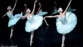 BALLET. Representación de “El lago de los cisnes”.