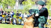 Imagen de archivo de una exhibición canina realizada en el Parque del Bulevar por la Guardia Civil.