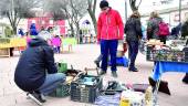 COMERCIO. Un señor curiosea en uno de los puestos del Rastro de Antigüedades de “Las Canteras”.