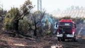 RESTOS. Los Bomberos terminan de recoger tras sofocar el incendio en el olivar de la capital.