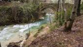 DESTINOS. El río Guadalquivir dibuja bellas estampas en su nacimiento en la Sierra de Cazorla. 