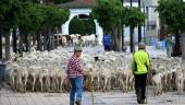 TRADICIÓN. Dos niños contribuyen en el oficio trashumante del pastor Pablo Espinar, que dirige un amplio rebaño desde la Sierra de Las Villas hasta Sierra Morena y viceversa.