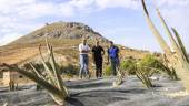 PIONEROS. Javier Mora, Sergio Barranco y Jesús Albín en la nueva plantación de aloe vera próxima a La Peña.