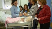 Entrega de la aceituna de plata a una bebé nacida en el Día de Andalucía.