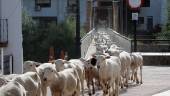 de camino. Ovejas cruzan el puente sobre el Guadalquivir a su paso por Mogón. 