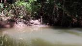 VERTIDO. Tubería que arroja aguas residuales de Villacarrillo en el río Aguascebas, a su paso por Mogón.