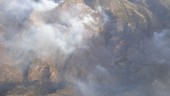 Infoca trabaja en la extinción de un fuego en Almería.