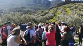 VISITA GUIADA. Los participantes en la primera ruta conocieron más de cerca parte del pasado marteño.