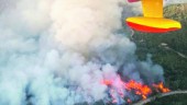 NATURALEZA. Uno de los incendios visto desde una avioneta.