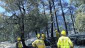 ESFUERZO. Agentes del Infoca trabajan en las tareas de remate del fuego en Segura. 