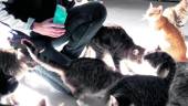 FELINOS. Una voluntaria alimenta a los gatos de la protectora Abyda.