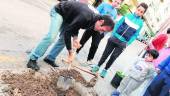 11 de diciembre de 2016. Plantación de árboles en un alcorque vacío en el barrio de Peñamefécit. 