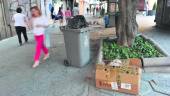 PLAZA DE LA CONSTITUCIÓN. Un contenedor, a punto de desbordarse, y basura en el suelo, en pleno centro de la ciudad. 